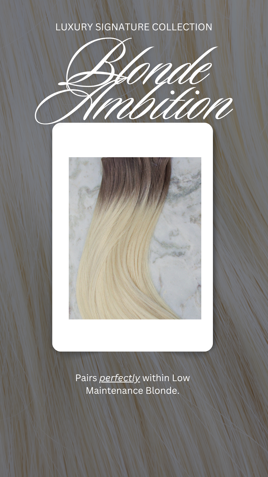Blondie Ambition